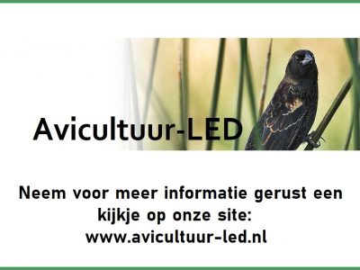LED installatie op maat voor uw vogelkooi(en)